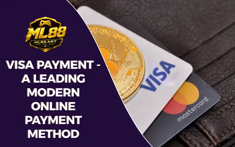visa payment