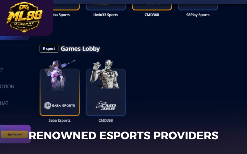Renowned esports providers