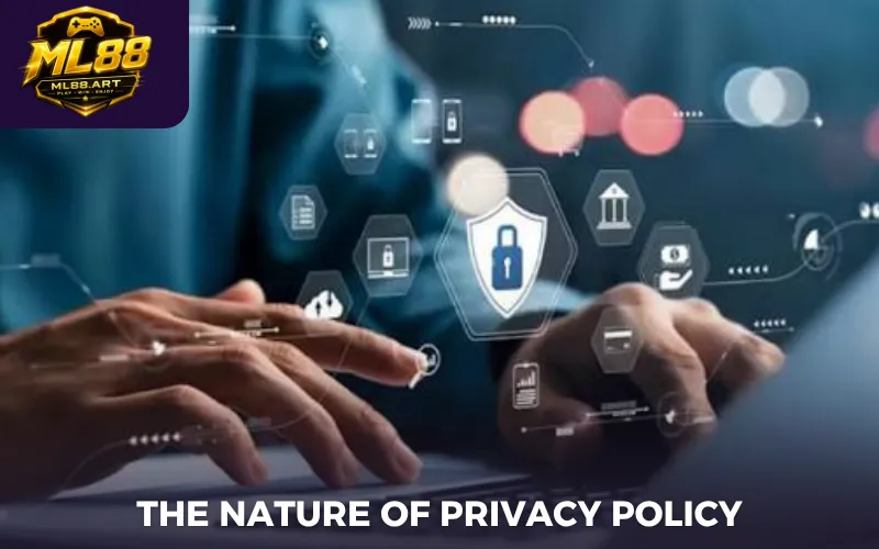 The nature of privacy policy
